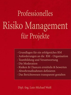cover image of Professionelles Risiko Management für Projekte
